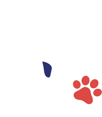 Logo Verein für helfende Hunde e.V.